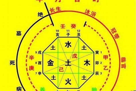 金匱將星時柱|八字神煞解析——將星